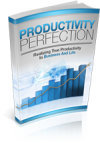 Productivity Perfection