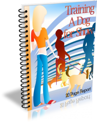 Training a Dog for Show