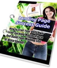 Landing Page Success Guide