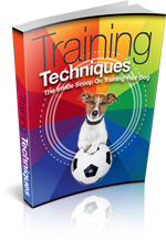 Training Techniques